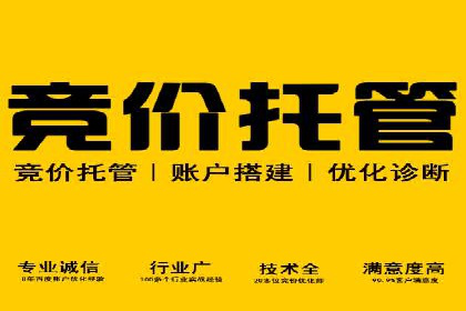 竞价排名中的关键词选择案例解析